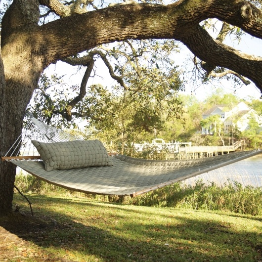 Pawley's Hammock