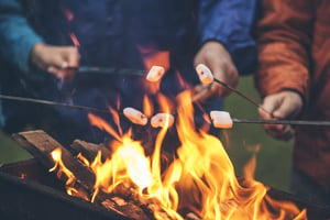 woodburning firepit